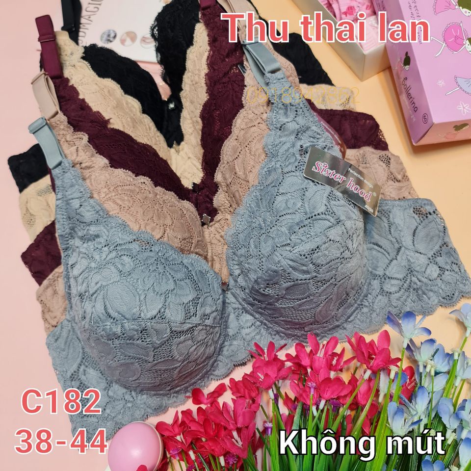 C182 - Áo không mút, ren mềm quả to.