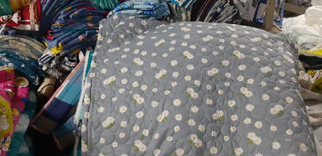 Mền cotton Thắng lợi