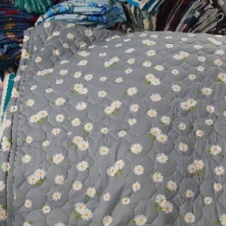 Mền cotton Thắng lợi(chat xem.mẫu)
