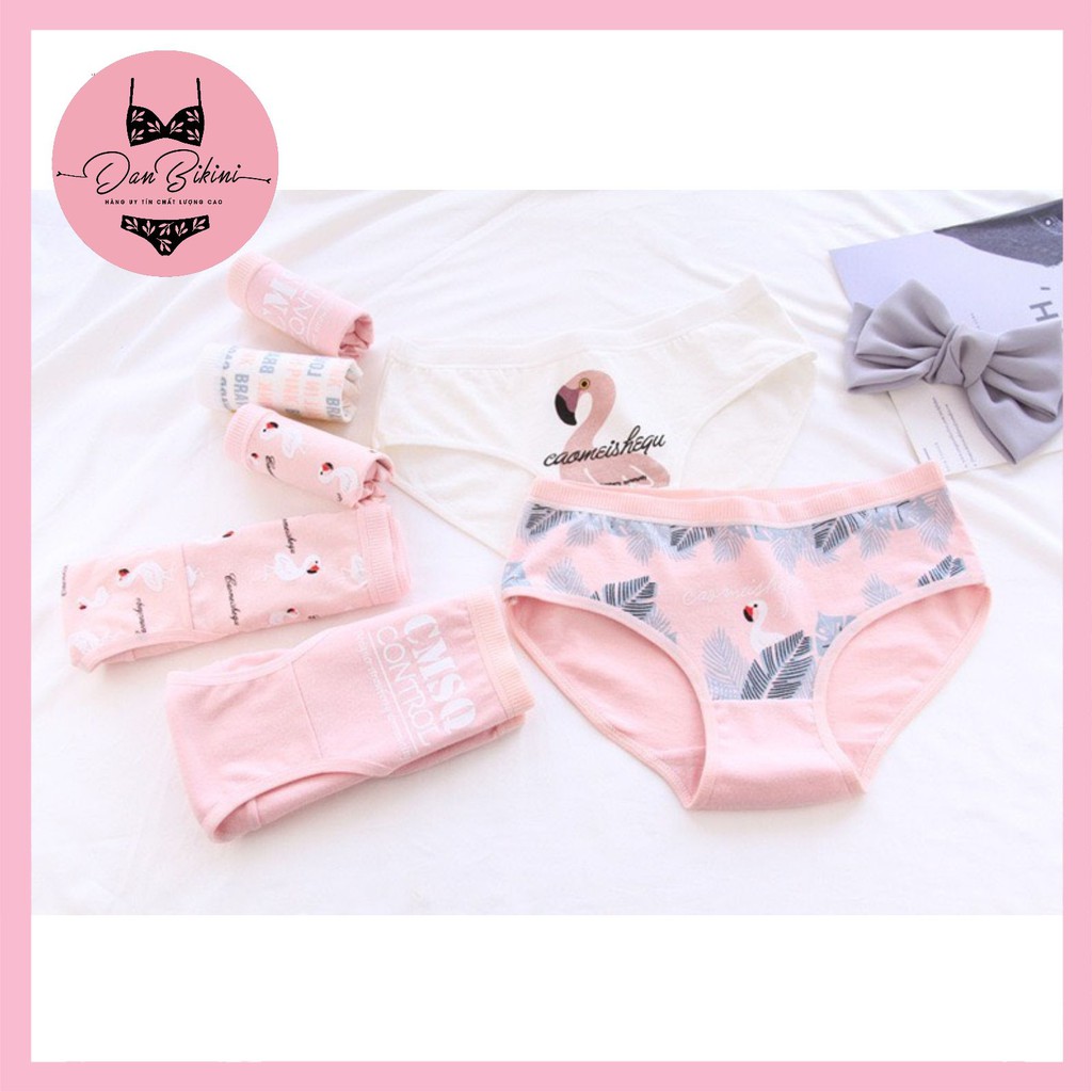 Quần Lót Nữ Cotton 100% kháng khuẩn thoáng mát ❤️ Quần Chip dễ thương hồng Flamingo mã B807