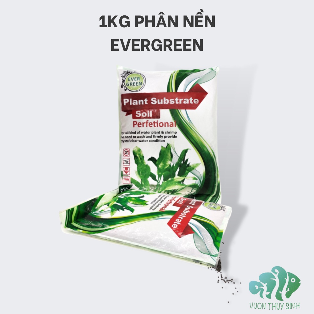 Phân nền thủy sinh chuyên dụng evergreen 1kg