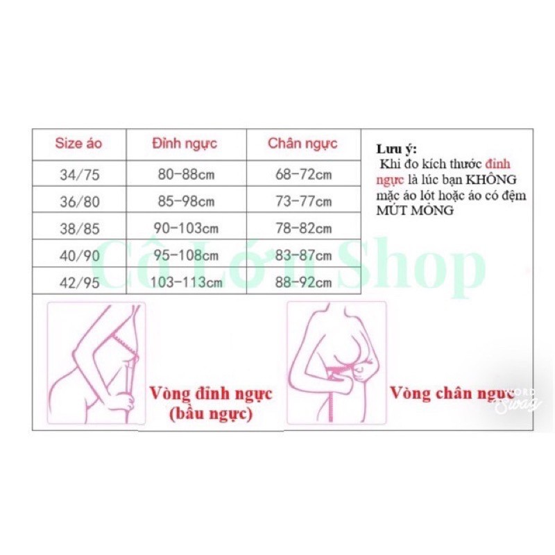 Áo ngực nữ dễ thương su đúc không gọng bàn tay nâng ngực Sexy gợi cảm thoáng khí hàng cao cấp