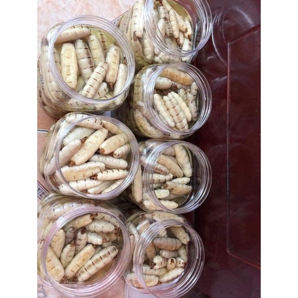 15k/c môi chúa tự đào