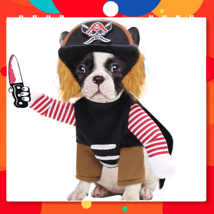 Quần áo thú cưng, Quần áo cho chó mèo hình killer boy, siêu ngộ nghĩnh