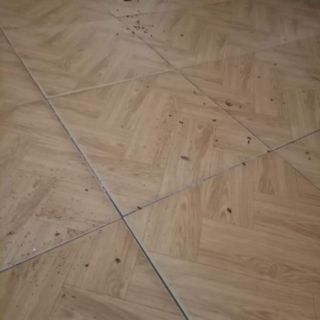 Xịt thảo mộc 10s-Đặc trị muỗi, gián, kiến