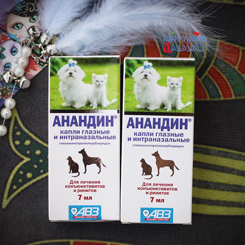 [Mã PET50K giảm Giảm 10% - Tối đa 50K đơn từ 250K] Nhỏ mắt Anandin cho chó mèo nhập Nga