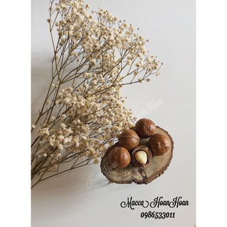 Hạt Macca Sấy Đăk Kăk_500gr