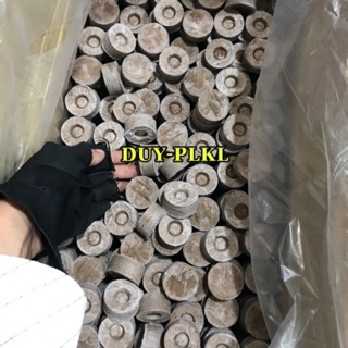 Viên nén dừa - Combo 10 Viên nén sơ dừa ươm hạt giống, cây trồng.dừa ươm hạt giống. viên nén xơ dừa.