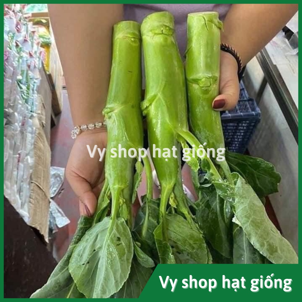 Hạt giống cải làn  thân mập Thái Lan gói 1100 hạt