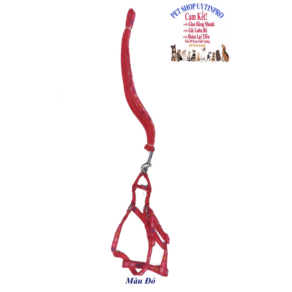 Dây dắt kèm yếm cho Chó Mèo Dưới 5kg Bản rộng 1cm Dài 120cm Zichen In hình bất kỳ Chất liệu dù cao cấp Bền Chắc, An toàn