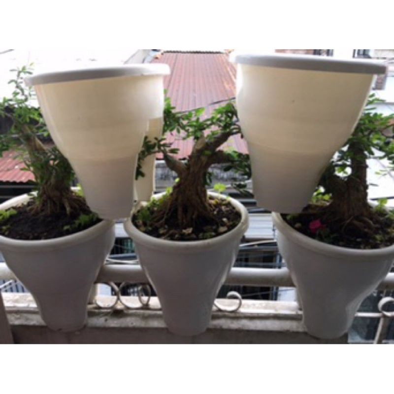Chậu nhựa kẹp ban công 28x30cm size 1_ Chậu nhựa kẹp lan can hàng công ty CDT dày