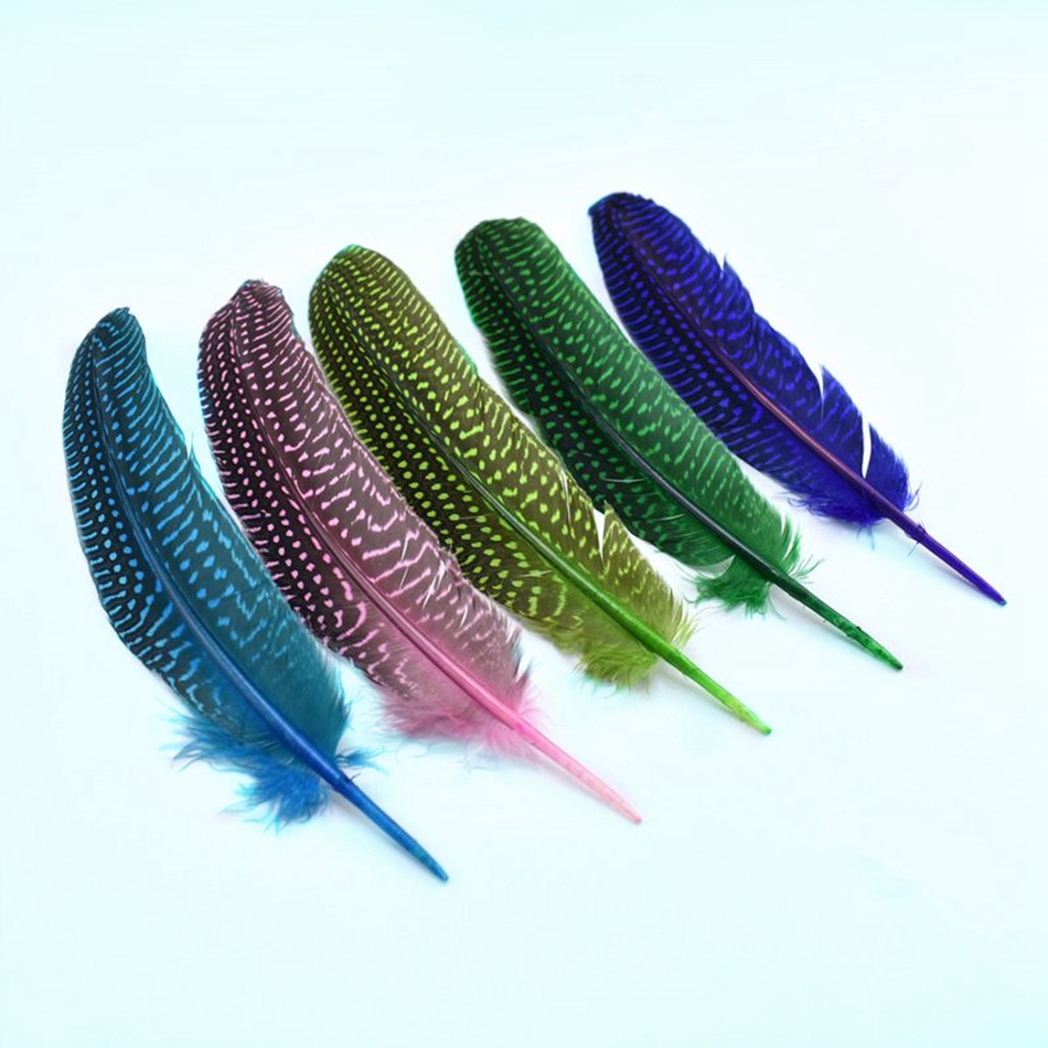 Bộ 10 Lông Vũ Tự Nhiên 15-20cm Dùng Làm Đồ Trang Sức