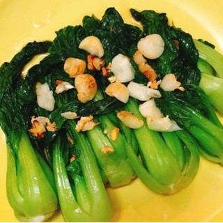 Hạt giống rau Cải chíp (20gr)