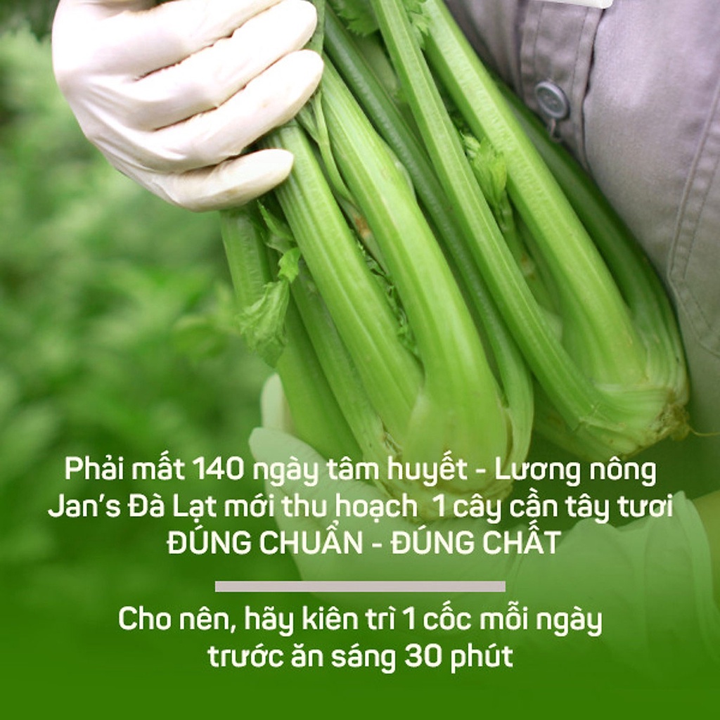 Bột cần tây sấy lạnh Jan's nguyên chất 60gr mới (chia 20 gói tiện dụng) hỗ trợ thanh lọc cơ thể làm đẹp da