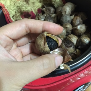 Tỏi đen cô đơn nhà làm