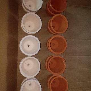 Chậu đất nung 9cm x 9cm