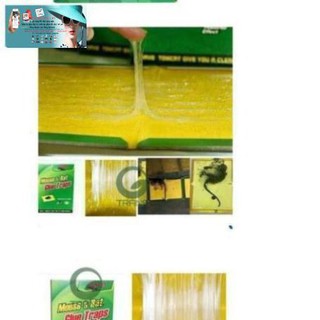 Combo 10 Miếng Dính Chuột Cao Cấp