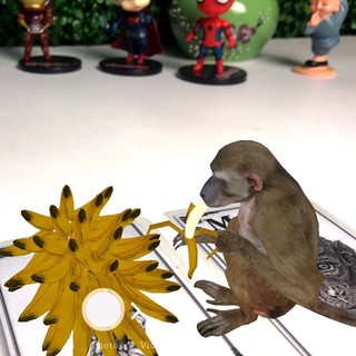 THẺ ANIMAL 4D