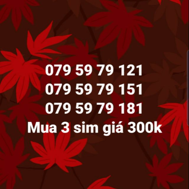 Sim số đẹp Mobi 4G