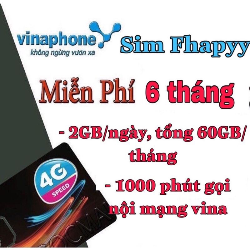 [RẺ VÔ ĐỊCH] Sim 4G Vina VD89,Fhappy 2GB/ngày (60GB/tháng) Miễn phí từ 6 tháng đến 12 tháng
