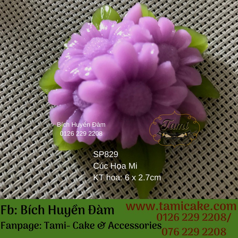 Khuôn silicon rau câu hoa nổi- Cúc Họa Mi | BigBuy360 - bigbuy360.vn