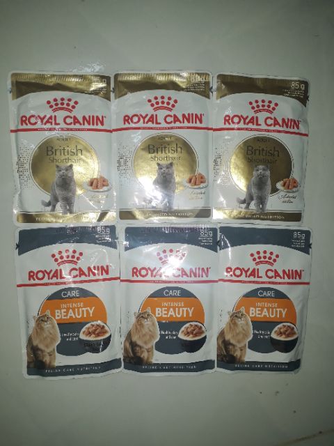 Tăjng hạt - Sốt pate Royal canin 85g đủ các loại