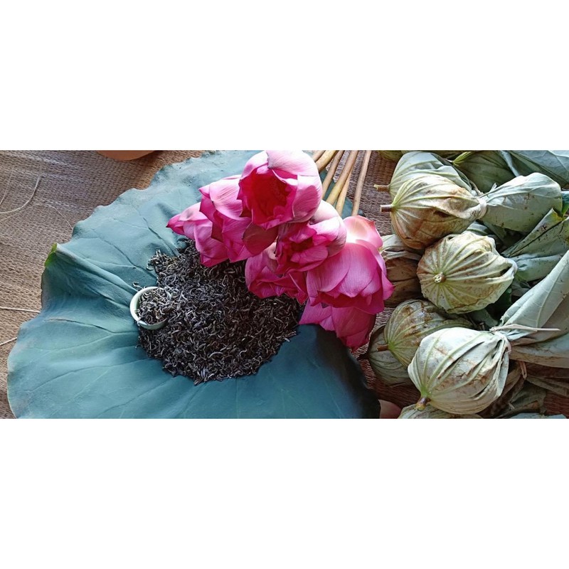 TRÀ BÔNG SEN TƯƠI (chính hiệu Hồ Tây)