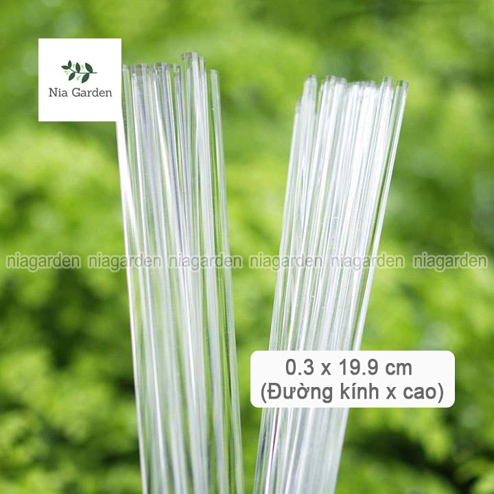 Que nhựa mica cố định phụ kiện tiểu cảnh cây cảnh terrarium Nia Garden N5