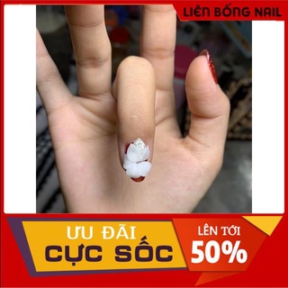 Hoa ly đá - Hoa bột nail mẫu mới