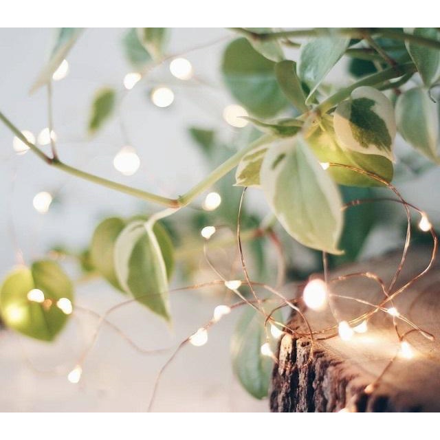 Dây đèn Led đom đóm Fairy Light 3 mét dùng pin AA