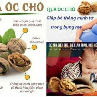 1KG HẠT ÓC CHÓ TÁCH VỎ SẴN