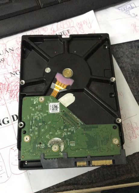 📌📌📌 Ổ Cứng 2T WD Western Digital BLUE GREEN, TOSHIBA  Cũ Giá Rẻ 📌📌📌 | BigBuy360 - bigbuy360.vn