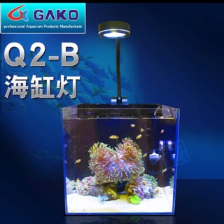 Đèn bể cá nước mặn(Q 2)