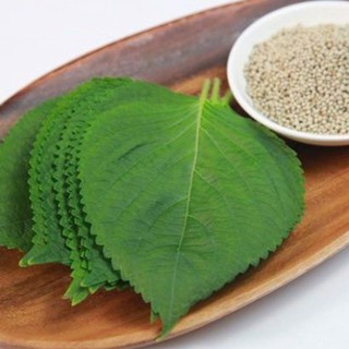 Hạt giống mè hàn quốc - 0.5gram ~ 100 hạt