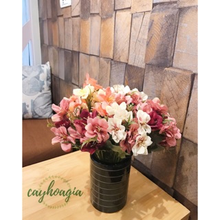 Hoa Giả - Huệ Tây Tứ Diện