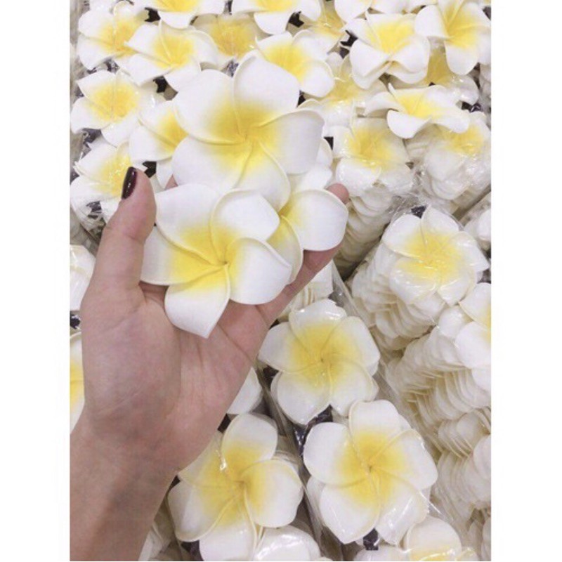 HOA CÀI TÓC PHỤ KIỆN SIÊU XINH