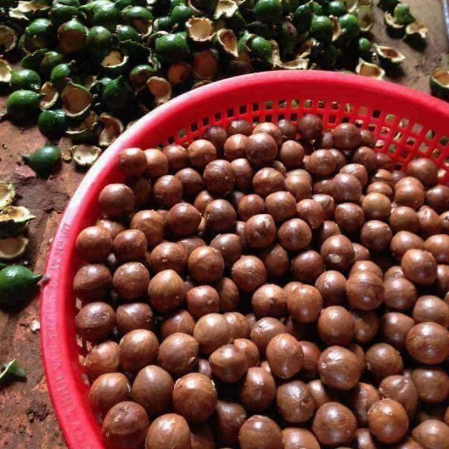 HẠT MẮC CA SIZE ĐẠI NỨT VỎ KÈM KÌM