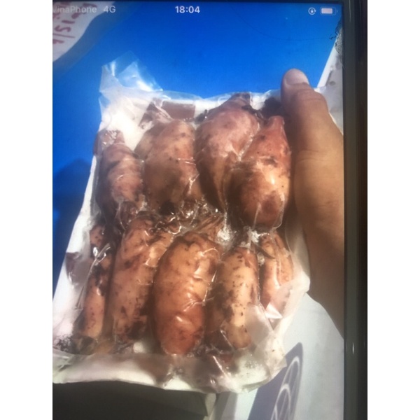 Mực trứng hấp chin chu (500gr) | BigBuy360 - bigbuy360.vn