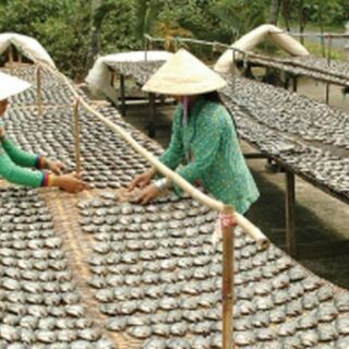KHÔ CÁ SẶC ĐẶC SẢN ĐỒNG THÁP