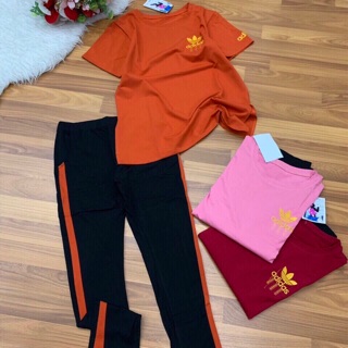 Combo khách sỉ mua 5bo