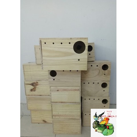 TỔ ĐẺ YẾN PHỤNG (SIZE LỚN). THÔNG NGUYÊN KHỐI