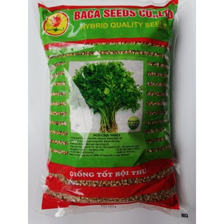 HẠT GIỐNG MÙI CHỊU NHIỆT - 1KG - BẮC Á - Bán buôn, bán lẻ hạt giống Uy tín SẮP NGỮ