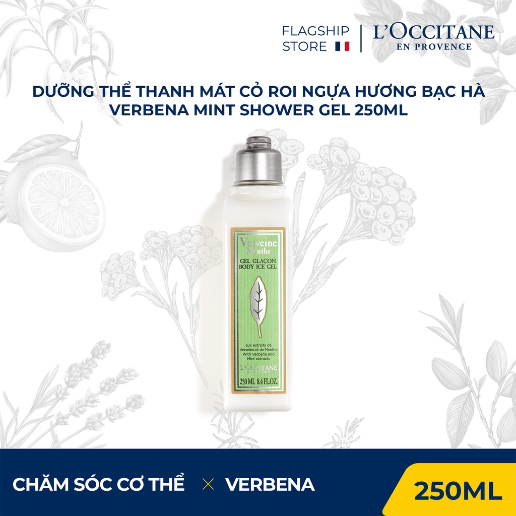 Gel Dưỡng Thể Thanh Mát Cỏ Roi Ngựa Hương Bạc Hà 250ml L'Occitane