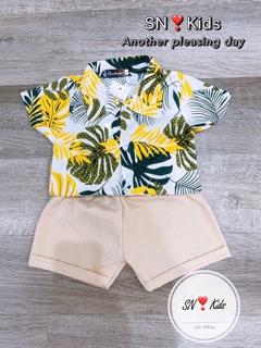 Bộ lá cành cho bé 10-24kg UL