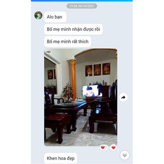 hồng kim cương( ko kèm chậu )