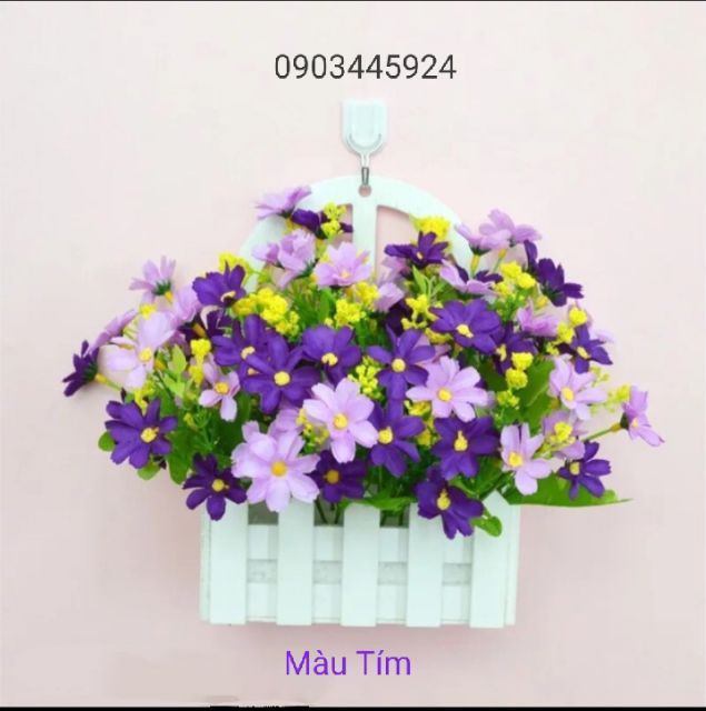 Hoa Giả-Hoa Cánh Bướm 25-30 Bông Trên Cành