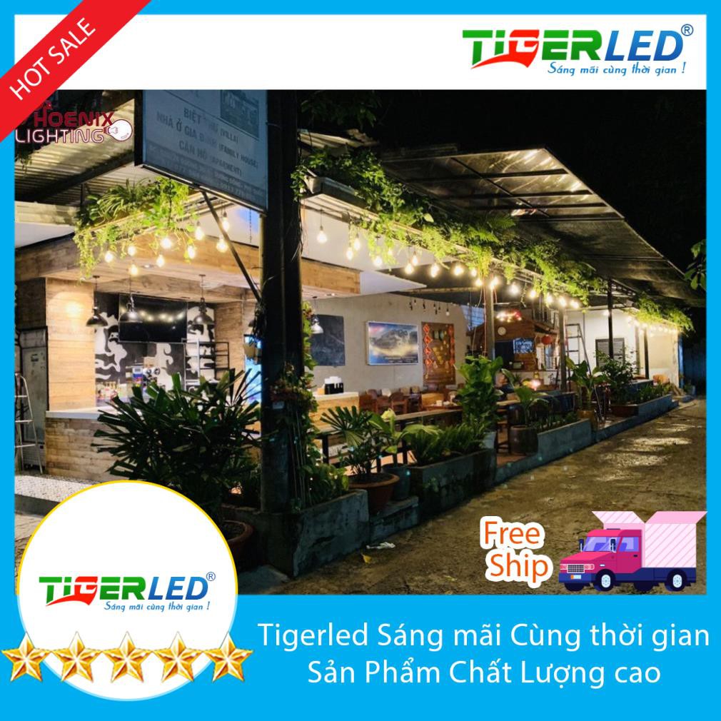 BÓNG EDISON - ST64 - COMBO 10 BÓNG LED EDISON - Đèn Phượng Hoàng