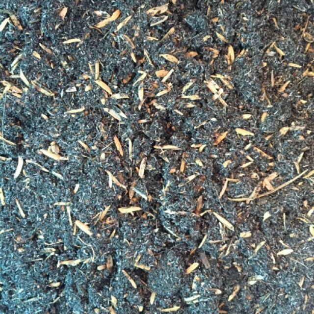 1kg tro trấu (ít trấu)