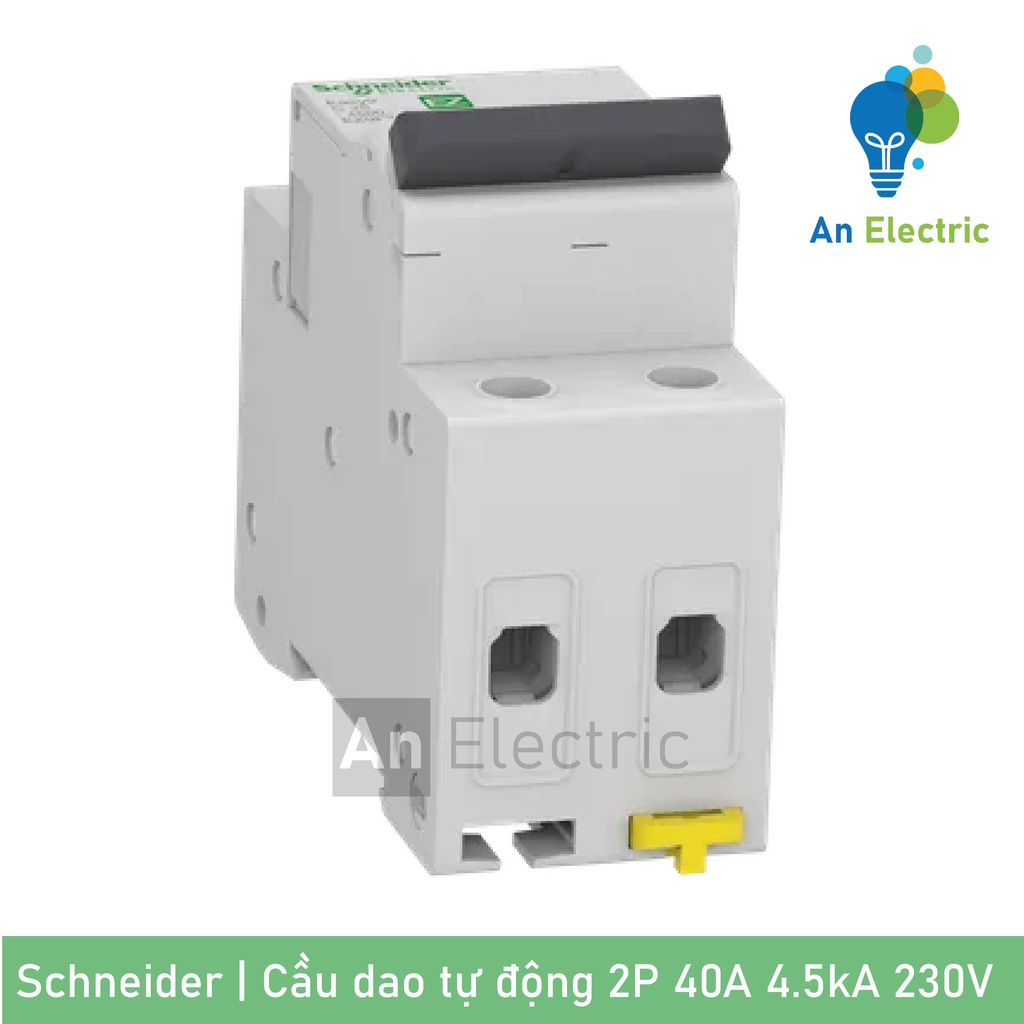 Cầu dao tự động SCHNEIDER 2P 6A 10A 16A 20A 25A 32A 40A