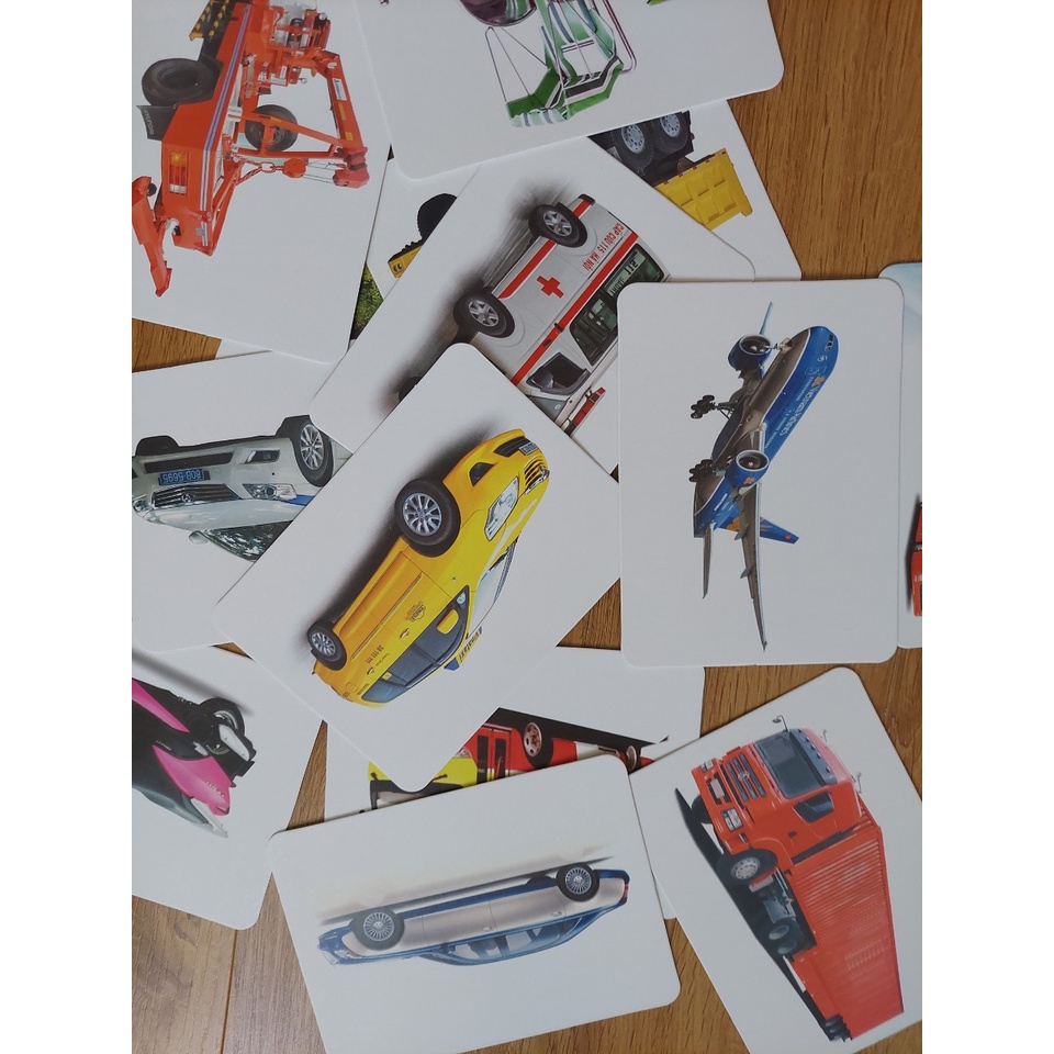 Thẻ học thông minh kích thước lớn 12x16cm(1 chủ đề) tùy chọn -  Flashcard TGXQ Glenn doman chuẩn